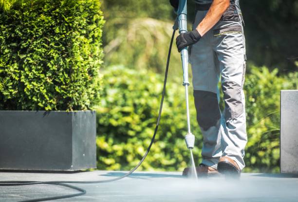 Best Roof Cleaning and Mildew Removal in Lasalle, IL
